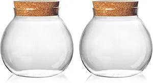 jar for seashells