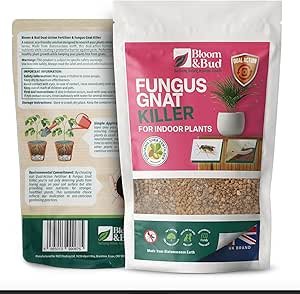 fungus gnat killer