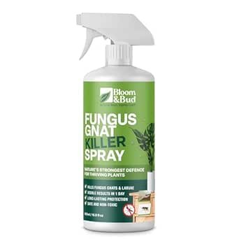 fungus gnats killer