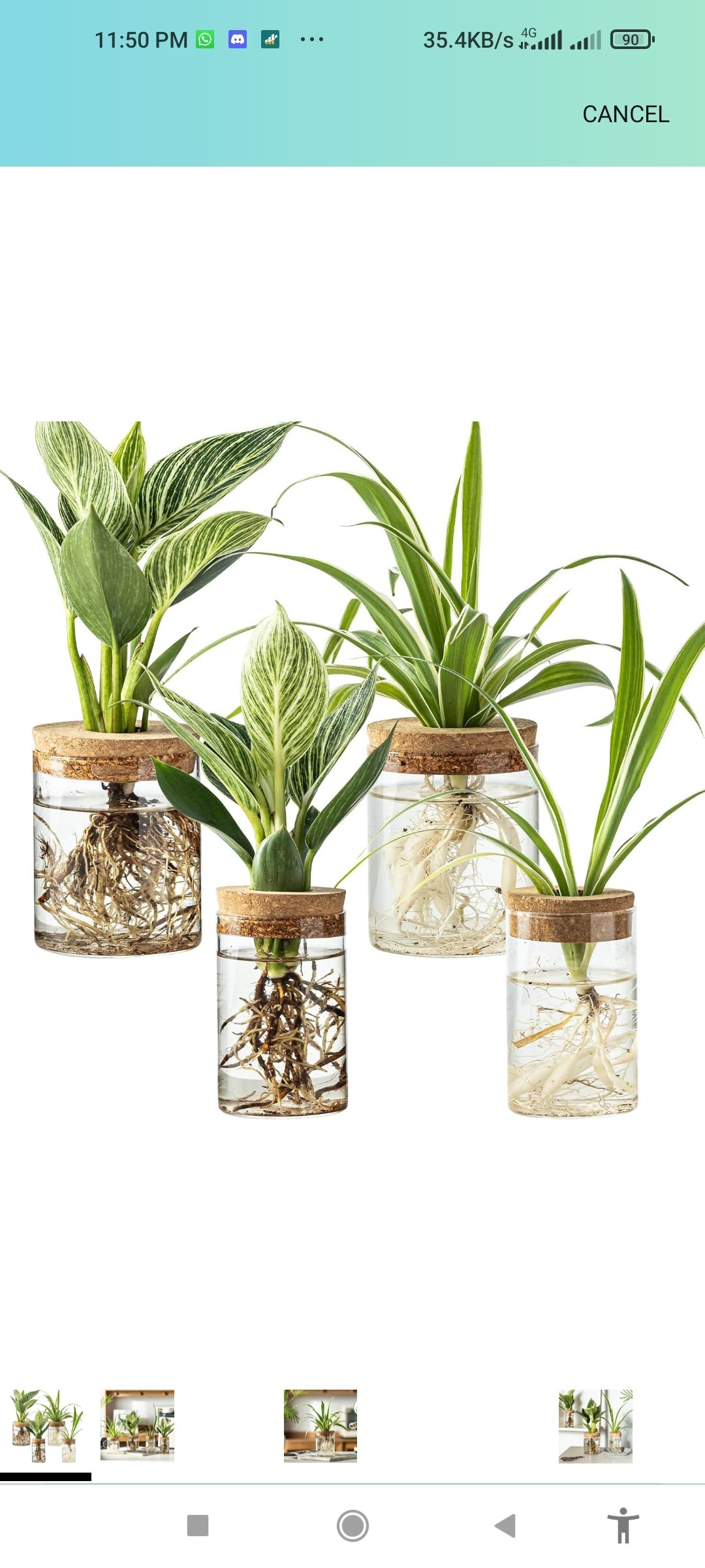 Glass Plant Propagation Stations for Plants – Set of 4(2 Large & 2 Small) Hydroponic Vases for Plant Cuttings,Flower Arrangements, Home & Office Decor–Desktop Vases for Living Room, Bedroom (4)