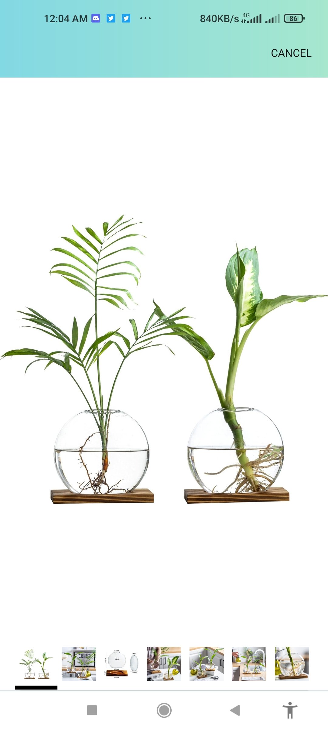 Glass Planter Propagation Station with Wooden Base – Clear Oblate Hydroponic Vase, Decorative Desktop Flower Vase for Home, Office, Windowsill – Gift for Plant Lovers (2)