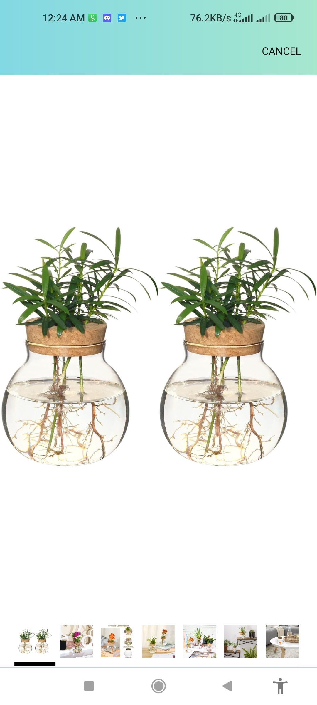 Plant Propagation Station,Hydroponic Terrarium Vase,Desktop Glass Planter Station,for Houses,Garden Decorations,ropagating Hydroponic Plants,Centerpiece Office,Home Garden Decor (2)