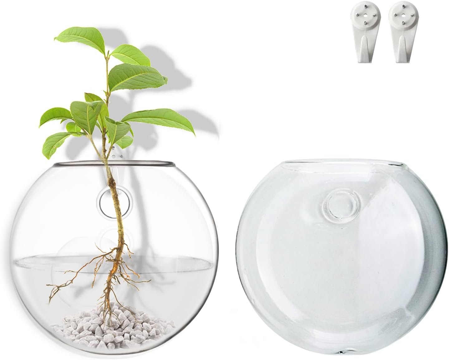 Wall Mount Plant Propagation Station – Clear Hydroponic Glass Vase, Oblate Planter for Indoor Plants | Perfect for Home, Office, Bathroom Decor | Gift for Plant Lovers (2)